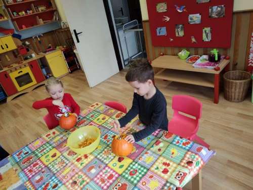 IMG-20221105-WA0008