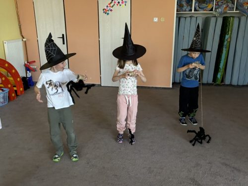 IMG 1358
