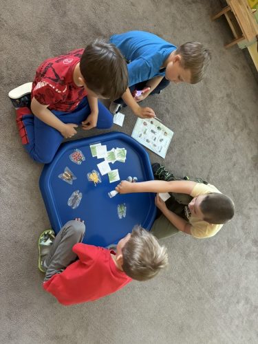 IMG 1575