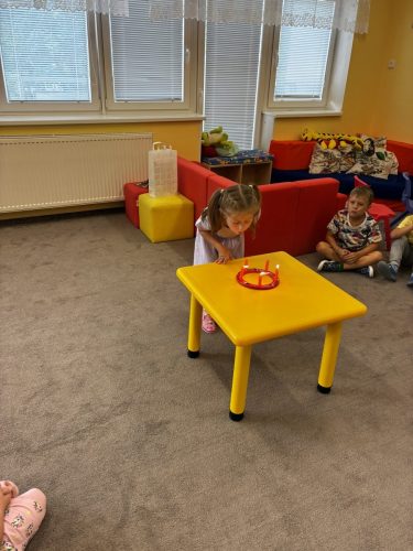 IMG 3667