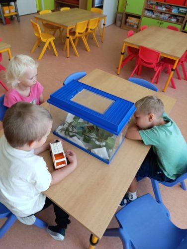 fotografie-4 (1)